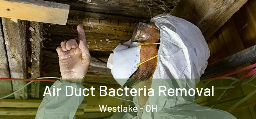  Air Duct Bacteria Removal Westlake - OH