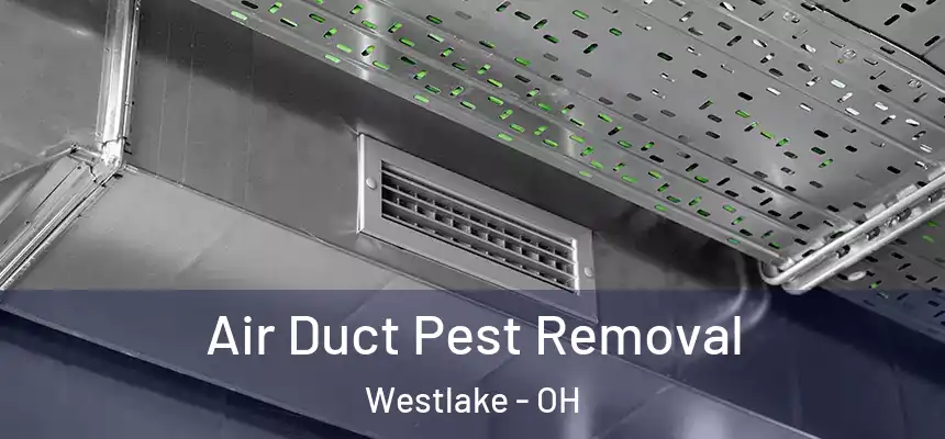  Air Duct Pest Removal Westlake - OH