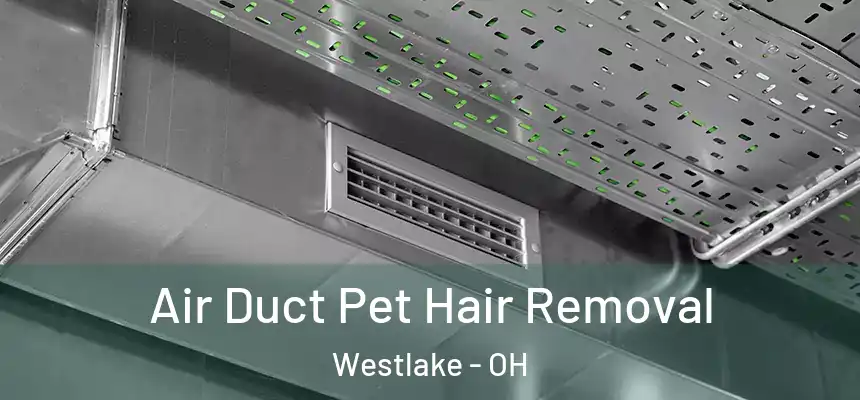 Air Duct Pet Hair Removal Westlake - OH