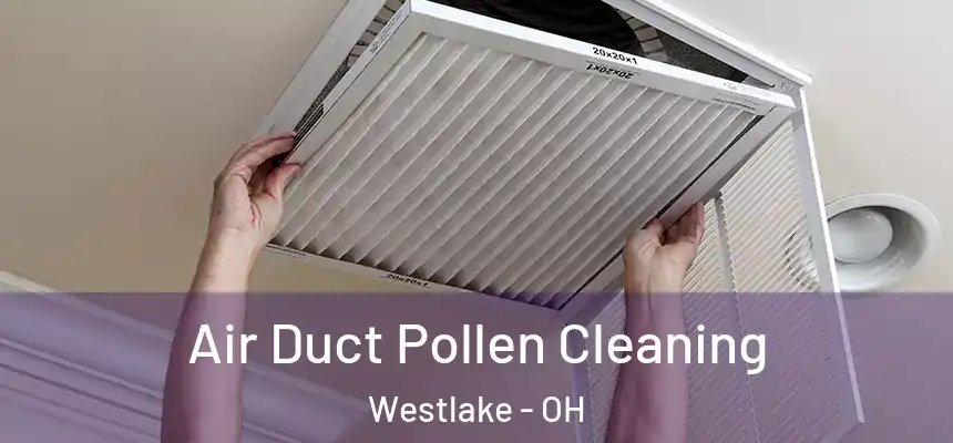  Air Duct Pollen Cleaning Westlake - OH