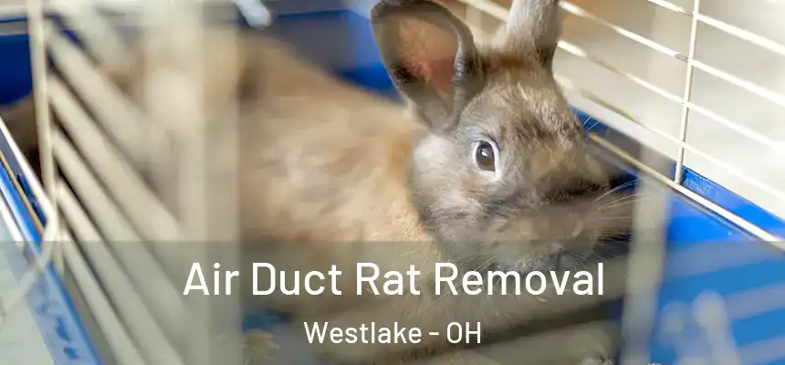  Air Duct Rat Removal Westlake - OH