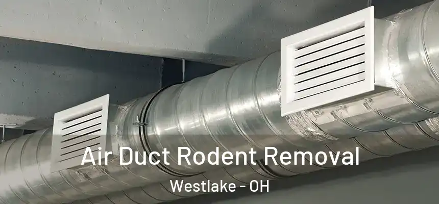  Air Duct Rodent Removal Westlake - OH