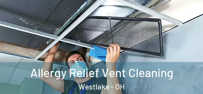  Allergy Relief Vent Cleaning Westlake - OH