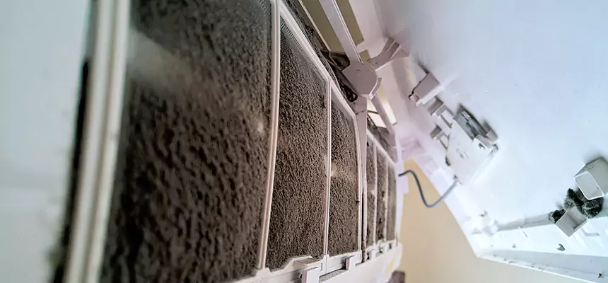 Preventive Air Duct Bacteria Removal in Westlake