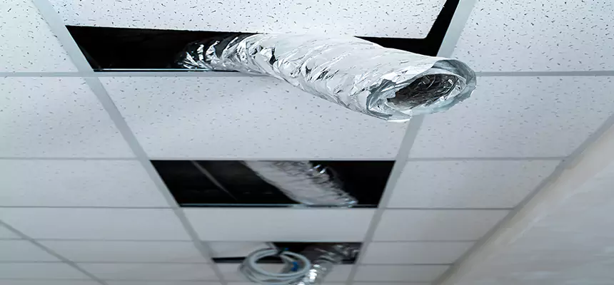 Our Air Duct Pet Hair Removal Services in Westlake, OH