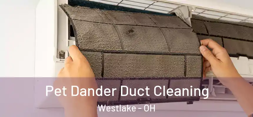  Pet Dander Duct Cleaning Westlake - OH
